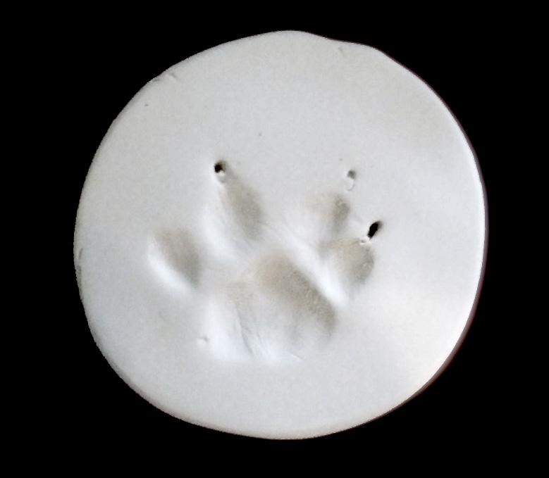 Bella's paw print.